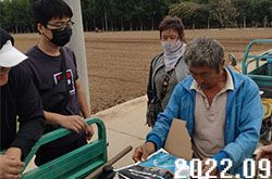 種植戶選購速溶肥進行試用對比 種植戶選購速溶肥進行試用對比